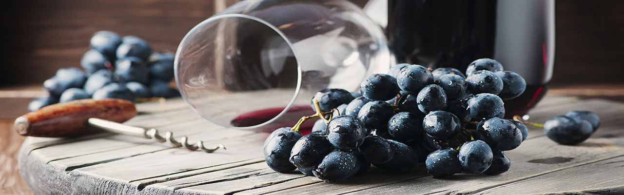 Quintas com degustação de vinhos na região de Langhe