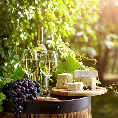 Férias em uma fazenda na Toscana: as estradas do vinho